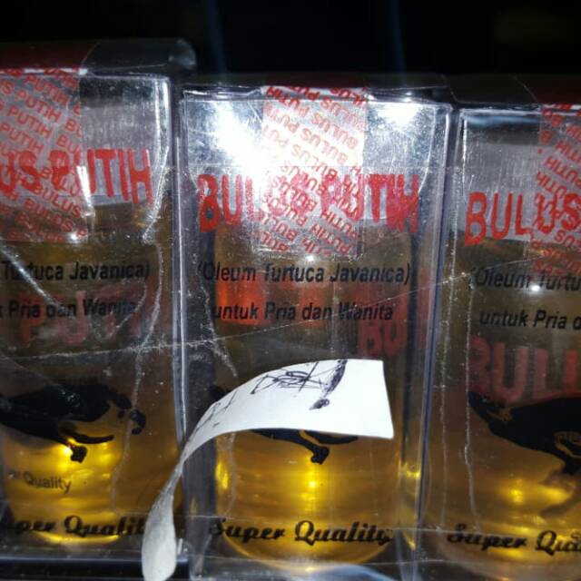 Minyak Bulus putih "asli"