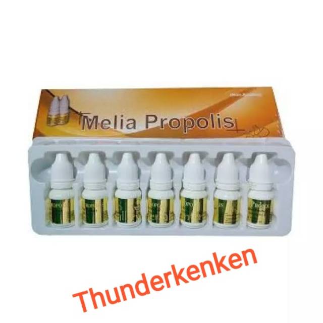 MELIA PROPOLIS ASLI