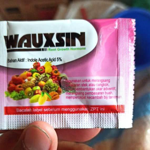 Mall Penumbuh Akar Tanaman WAUXSIN