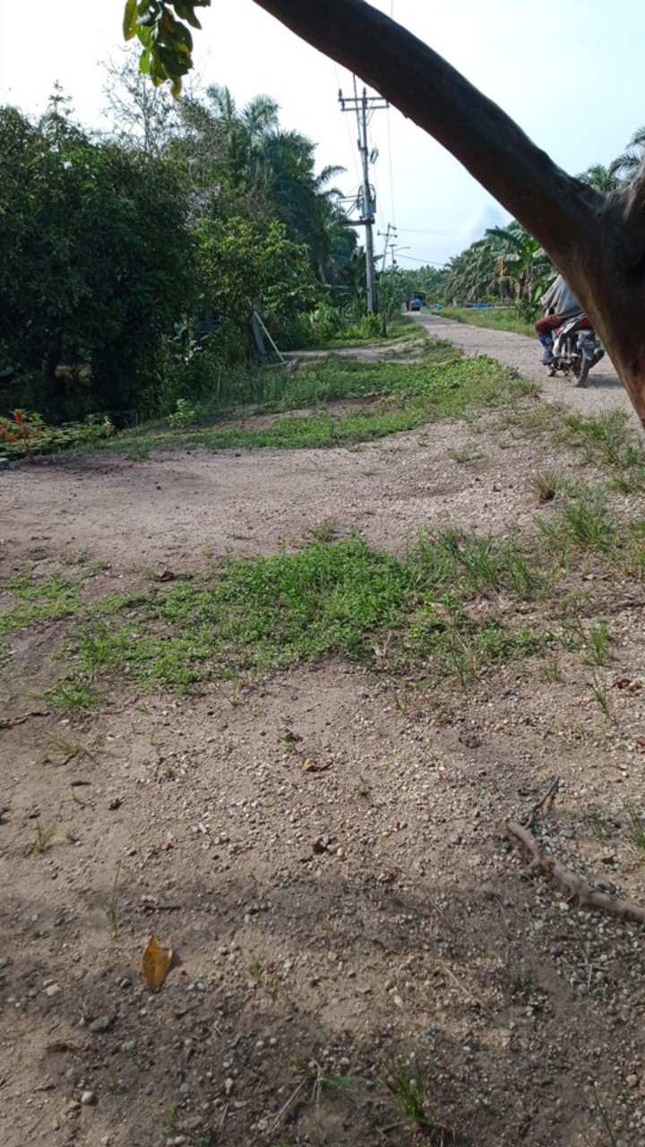 Kemeja Anak Laki Laki Pakaian Hem Baju Anak Batik