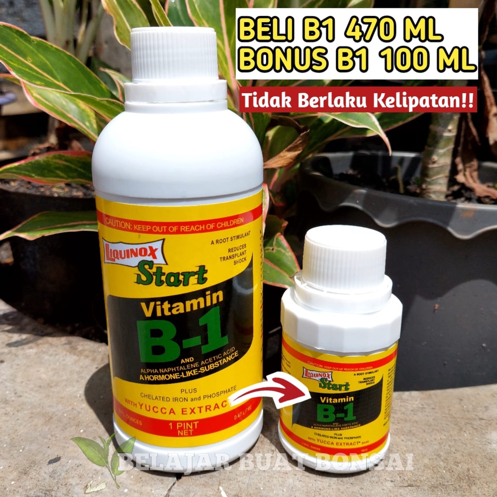 VITAMIN B1 LIQUINOX 470ML BELI 1 GRATIS B1 100ML