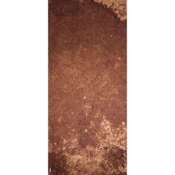 cocopeat buat cutting anggur, bonggolan, dll