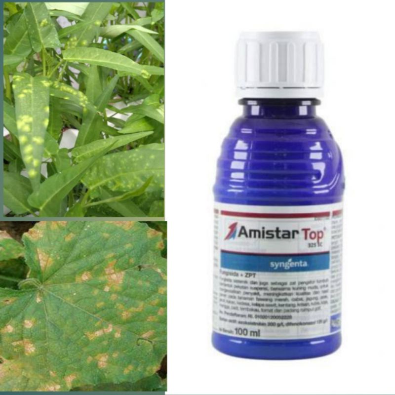 fungisida amistartop 50 ml,fungisida anti penyakit jamur. obat jamur.