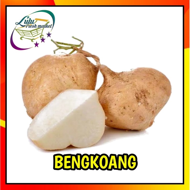 

BUAH BENGKOANG RUJAKAN BENGKUANG PETISAN BERSIH TANPA TANAH MURAH SEGAR ISI 2-3 PER KILO 1 KG