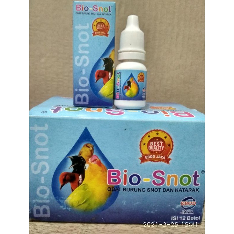 Obat snot burung