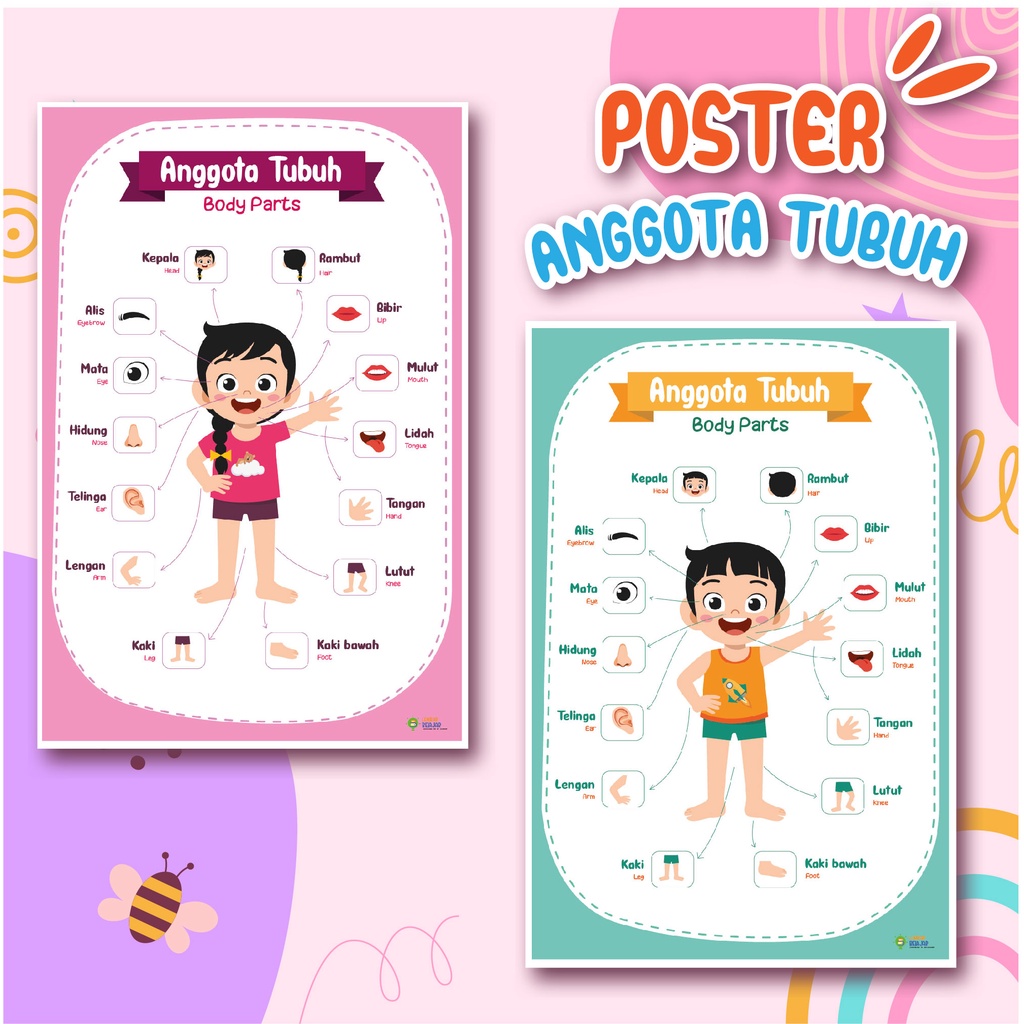 Jual Poster Edukasi Mengenal Anggota Tubuh Poster Belajar Bahasa Inggris Anggota Badan Untuk 3679