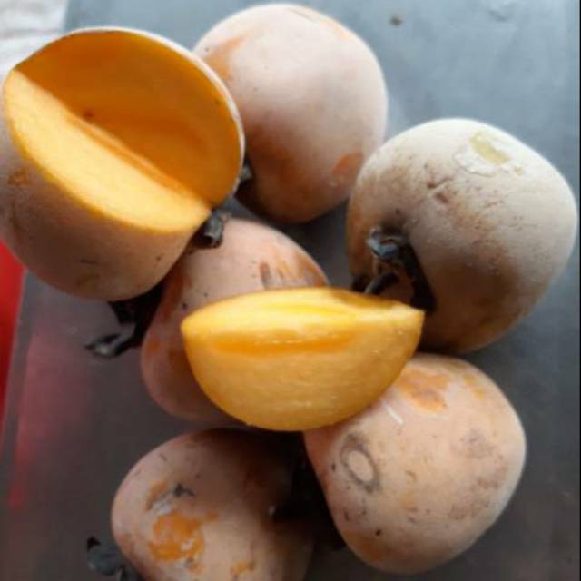 buah kesemek / buah genit 1kg