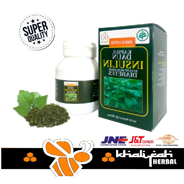 

Obat Diabetes Ampuh Menurubkan Kadar Gula Darah Kapsul Daun Insulin Original Khasiat Nyata