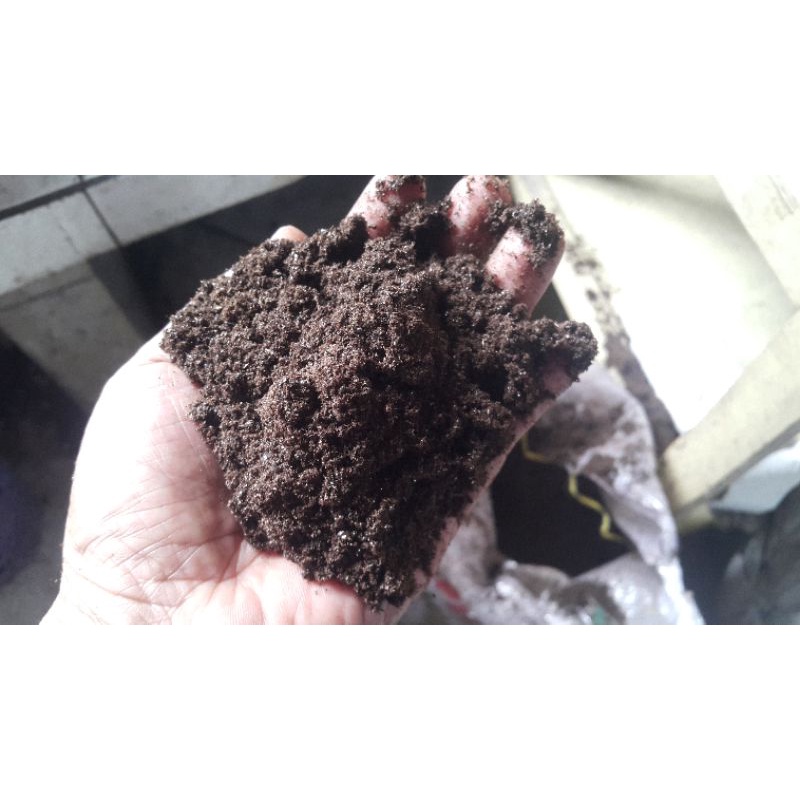 pupuk kotoran burung walet asli organik guano