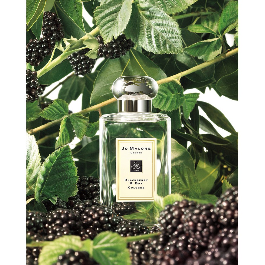 Jo Malone London Blackberry & Bay Parfum Original 100%