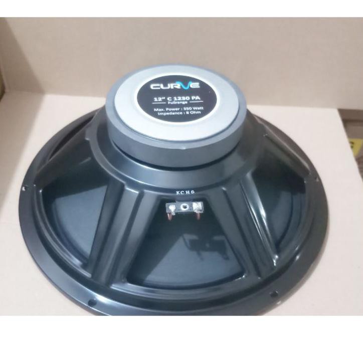 PROMO Speaker 12 inch 1230 PA Curve full range ❊