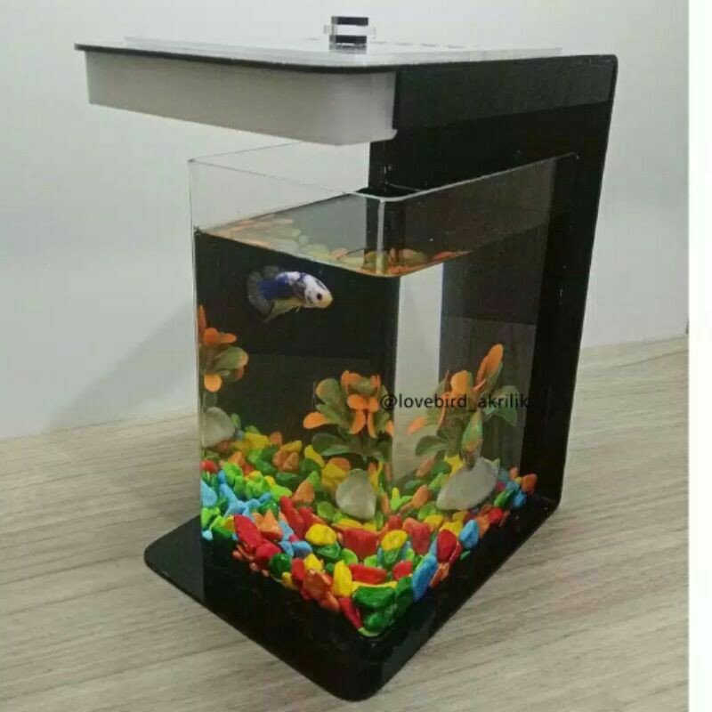 Aquarium Acrylic Minimalis Aquarium Ikan Kecil Cantik Shopee Indonesia