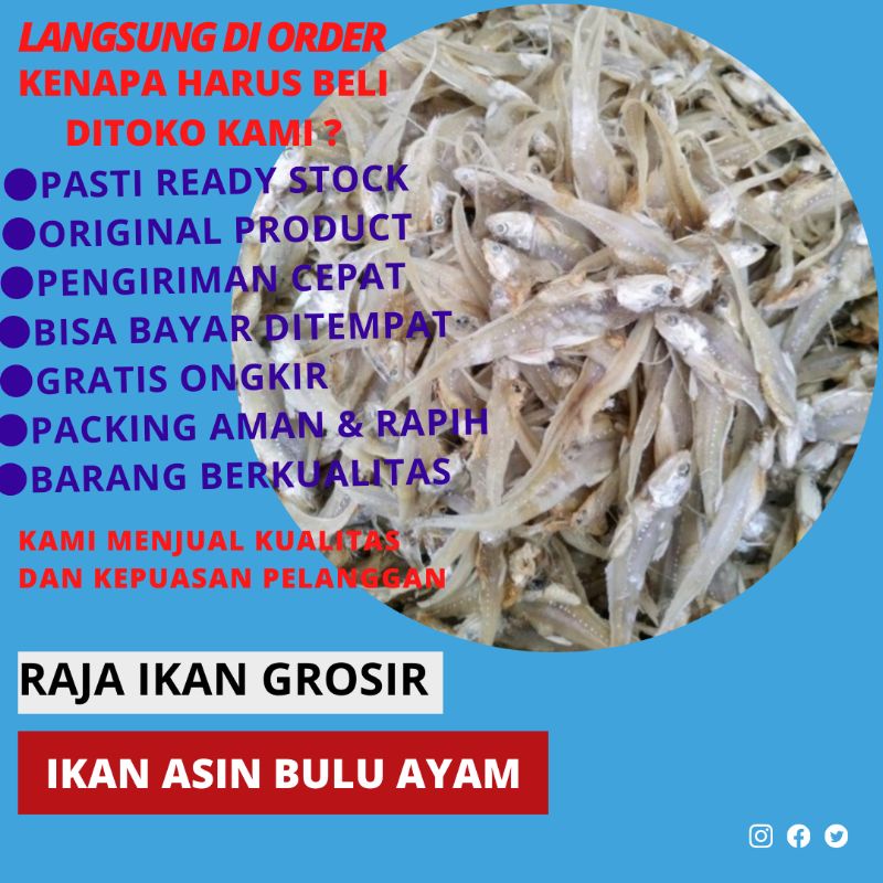 Jual Ikan Asin Bulu Ayam Terbaik 100 Gram Indonesiashopee Indonesia