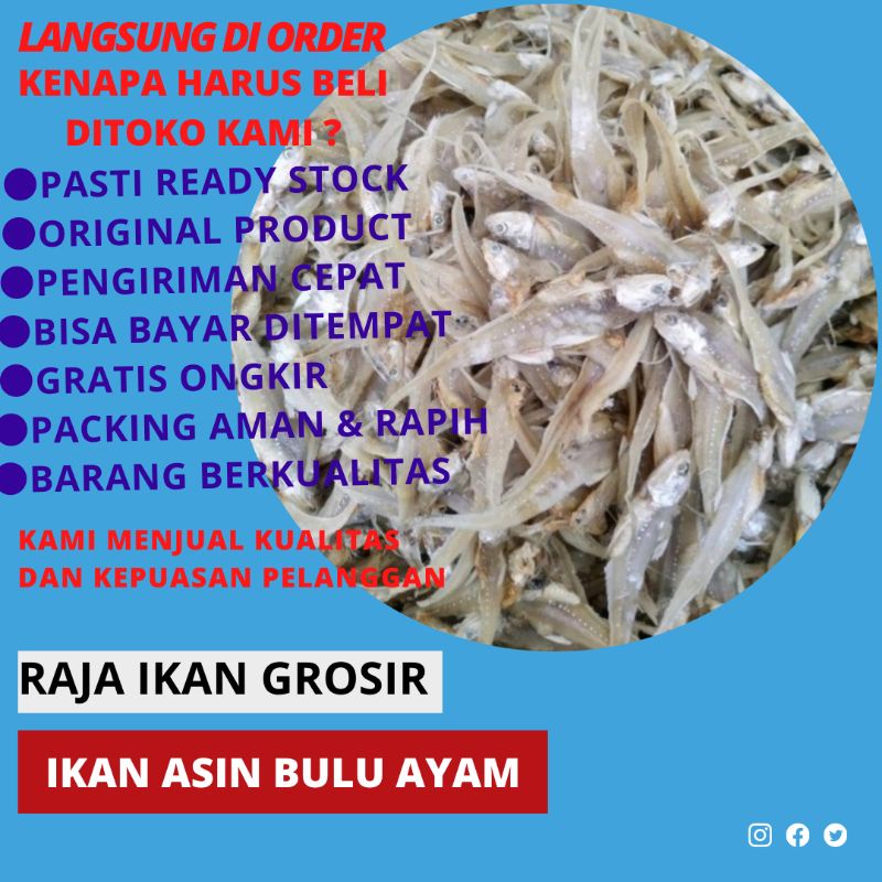 

IKAN ASIN BULU AYAM TERBAIK 100 GRAM