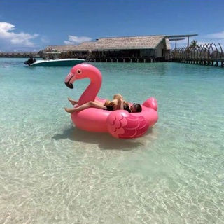 Flamingo Pink Floaties