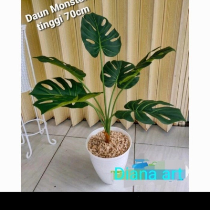 DAUN MONSTERA#MONSTERA LATEX#MONSTERA PLASTIK#POHON MONSTERA - POT TIRUS 18 CM