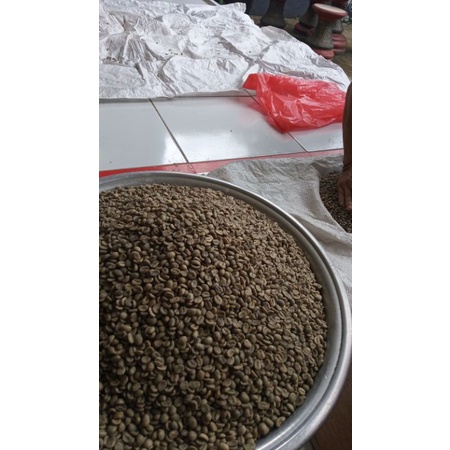 

green bean(biji kopi)arabica kintamani