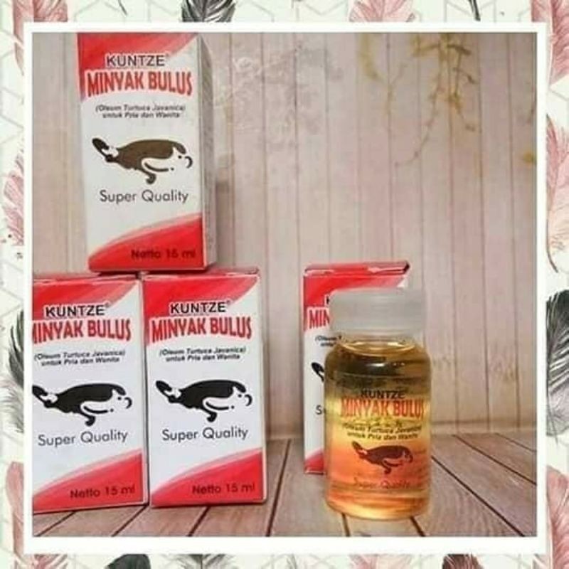 KUNTZE MINYAK BULUS ORIGINAL - MINYAK BULUS KUNTZE BPOM