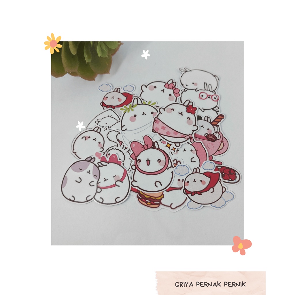 

Pernak Pernik - Stiker Molang | Stiker Lucu | Stiker Tumblr Hp