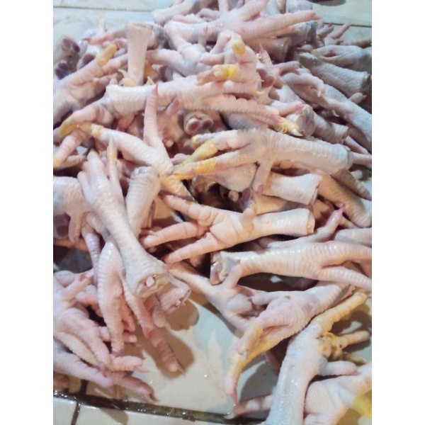 

ceker ayam segar