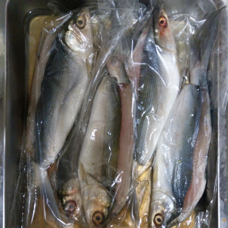 

bandeng cabut duri Frozen food 1kg isi 5