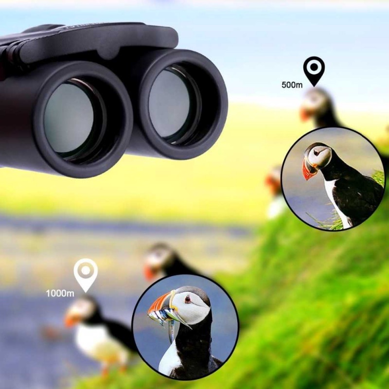 Teropong Pengamatan Outdoor Binoculars Mini Lipat Compact Zoom 8x21