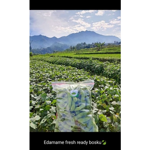 

Edamame fresh
