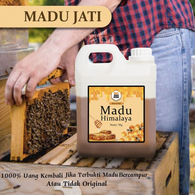 

Madu Himalaya 100% Madu Ternak Murni/ Garansi 1000% Uang Kembali Jika Madu Campuran