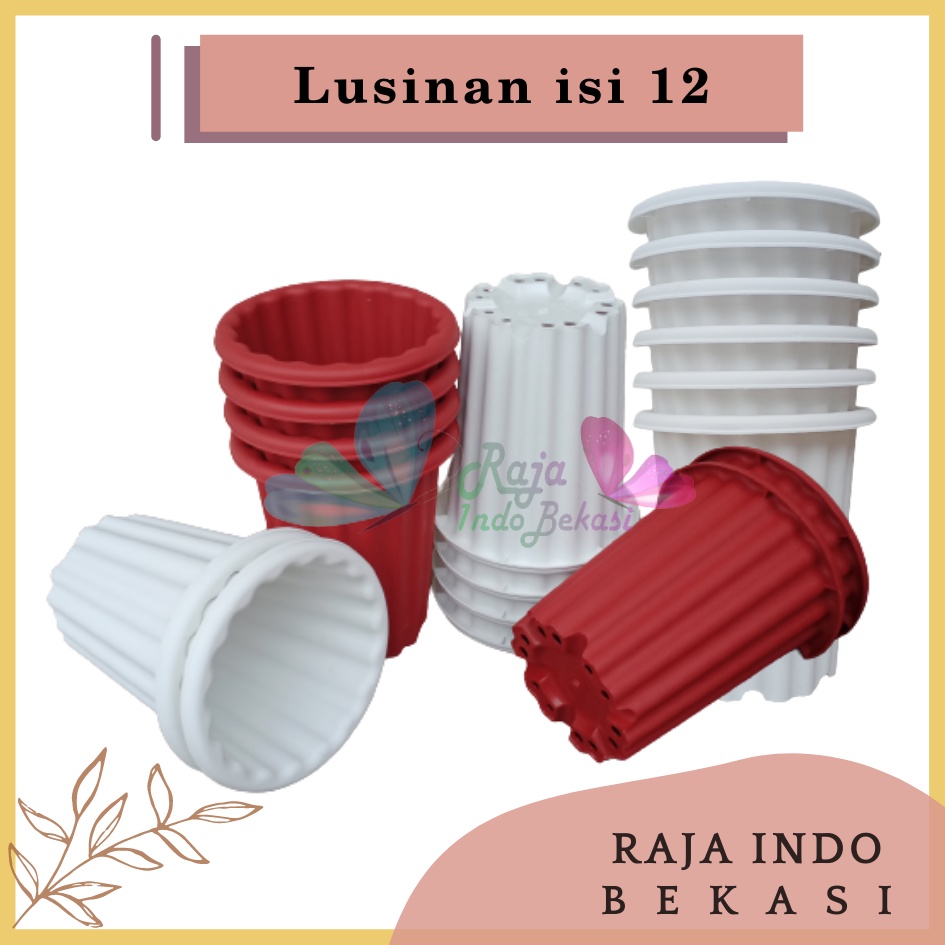 Lusinan 12pcs Pot Swiss 15 Putih Bening Transparan Hitam Merah Bata Merah Coklat Terracota Terracotta Mirip Lusinan Pot Yogap Ypt 10 13 15 Putih Coklat Merah Bata Bening Transparan Pot Yogap 17 18 19 Pot Yogap Murah Pot Bunga Tinggi Pirus Tegak Tebal