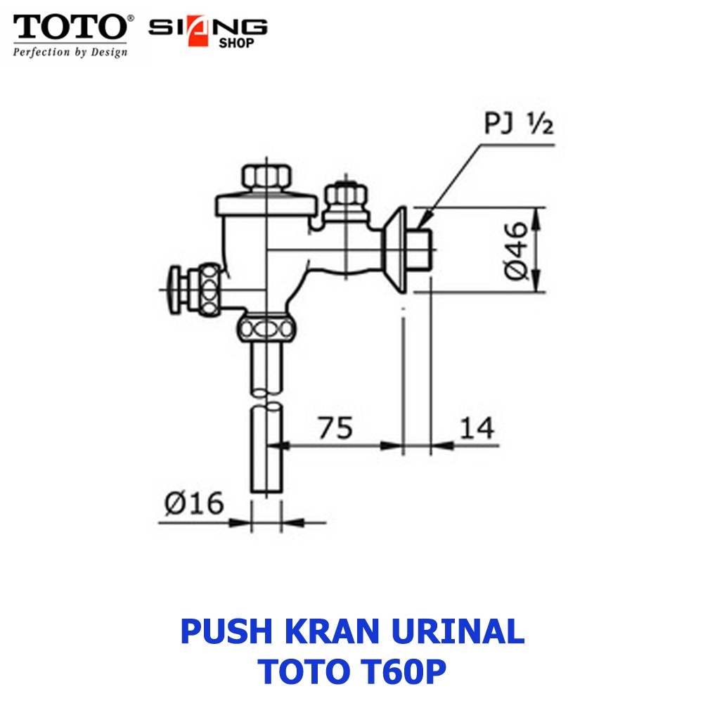 ran Urinal TOTO T60P / T 60 P