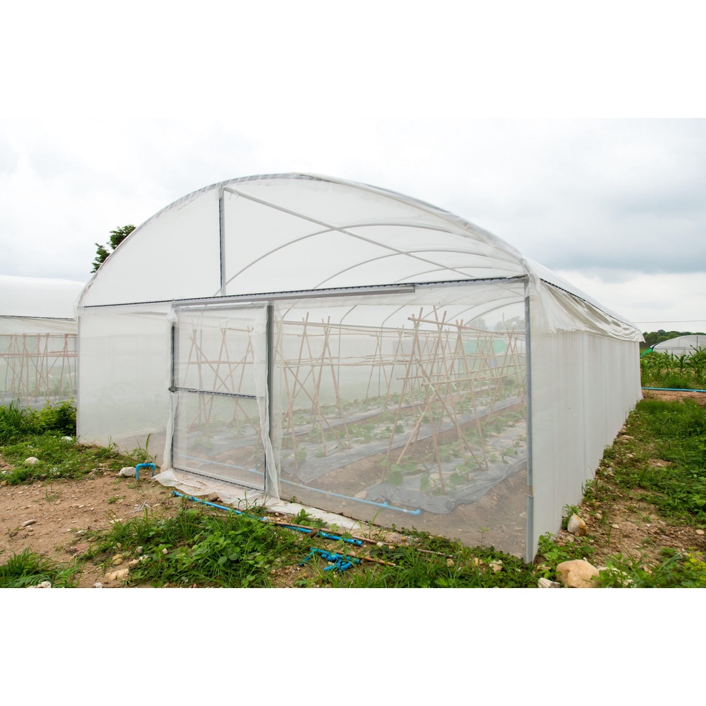 Insectnet mesh 50,. lebar 3 meter. cocok untuk anti aphid - insect net - meteran