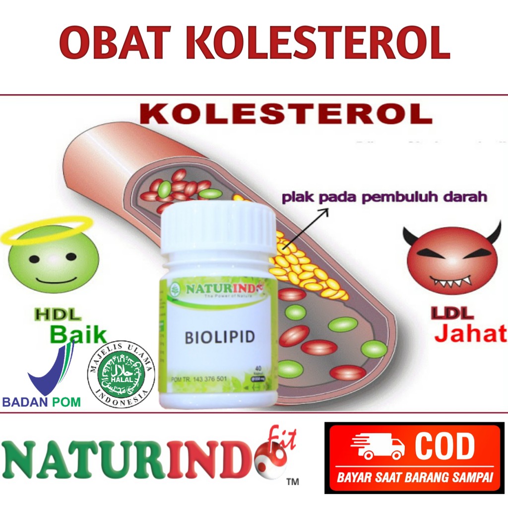 OBAT KOLESTEROL MANJUR OBAT KOLESTEROL PALING AMPUH PENURUN KOLESTEROL BIOLIPID NATURINDO BPOM