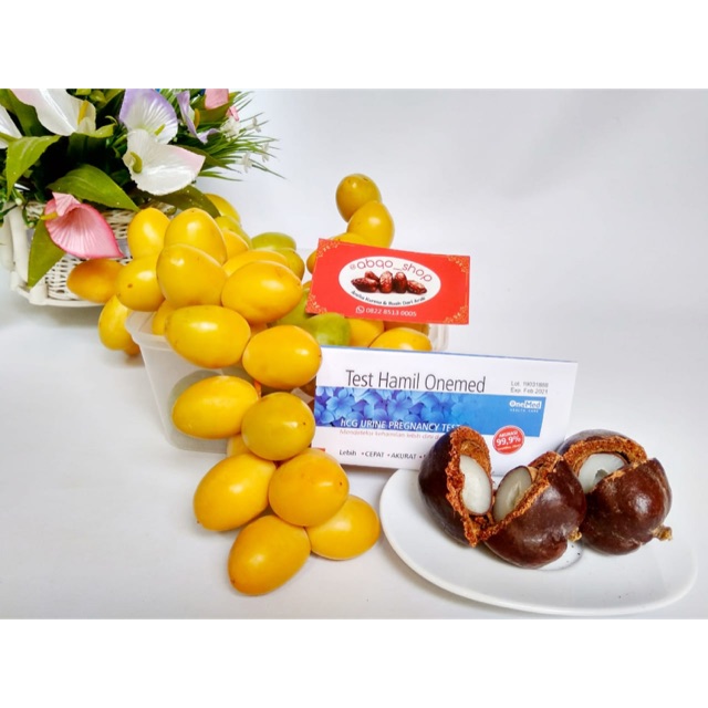 

Promil Hemat Kurma Muda