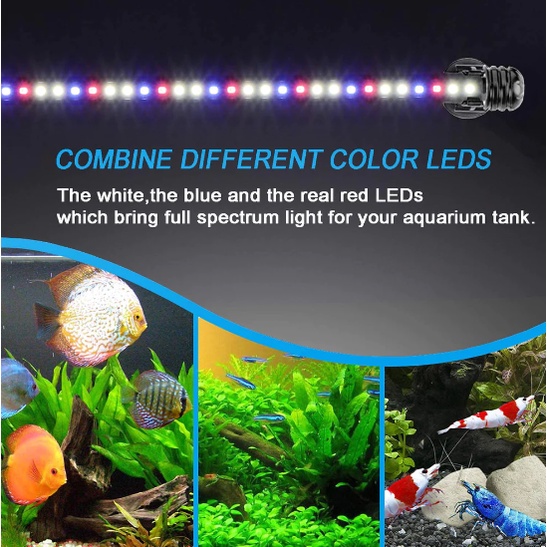 LAMPU LED CELUP AQUARIUM AQUASCAPE T4 UKURAN 20-60CM FREE PACKING BUBBLEWRAP TEBAL (4 LAPIS)