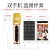 Lewinner Microphone Condenser Live KTV Karaoke - BGN-C11