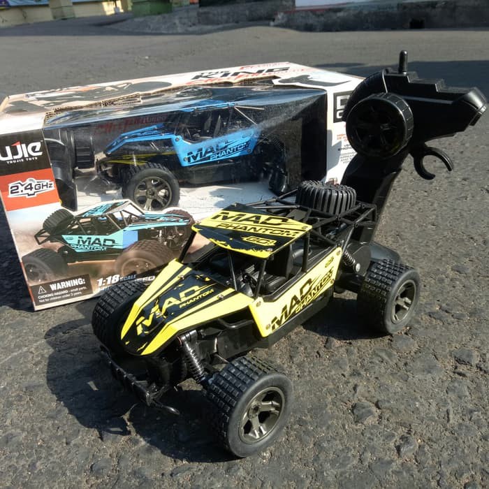 cheetah rc car