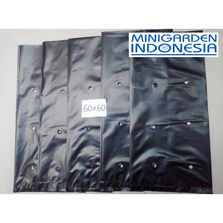 Polybag 60x60 CM ECERAN 1 Plastik polibek pot kantong semai benih bibit tanaman per lembar polibag 60 x 60