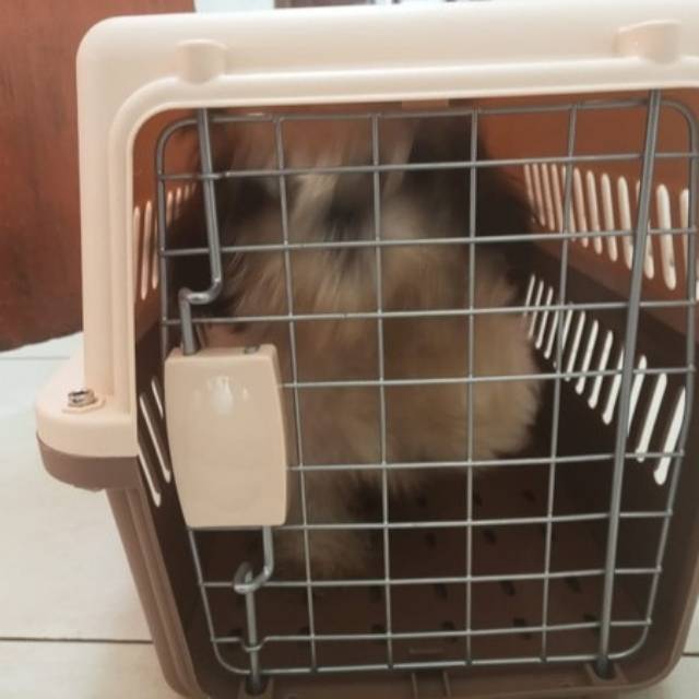 Kandang Kucing Kelinci Pet Cargo
