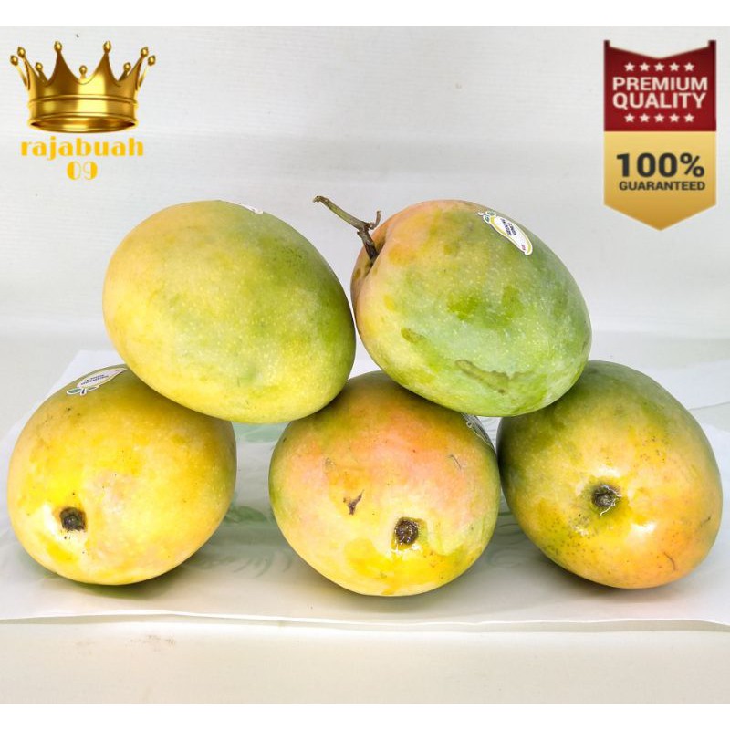 

Mangga Gedong 1 Kg Fresh Manis