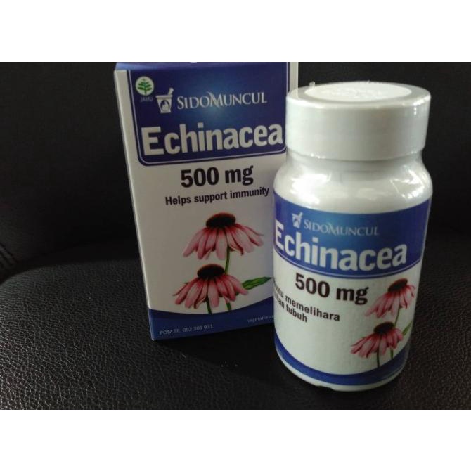

TERLARIS OBAT HERBAL SIDO MUNCUL - ECHINACEA 500 ( FLU, BATUK, DLL ) /OBAT HERBAL ASAM URAT/OBAT HERBAL PELANGSING/OBAT HERBAL KOLESTEROL/OBAT HERBAL DIABETES