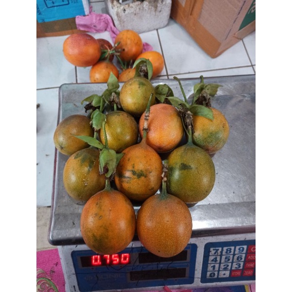 

markisa manis/ konyal hutan manis madu 1 kg stok terbatas