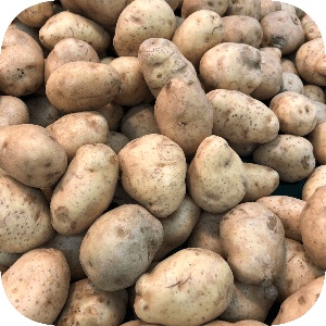 

Kentang 500 g