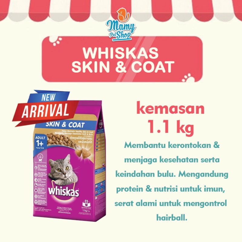 WHISKAS SKIN AND COAT 1.1 KG PAKAN KUCING