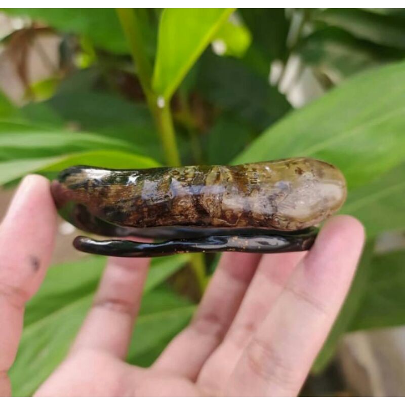 AKAR BAHAR BONGGOL BATU ALAMI SIZE TELUNJUK