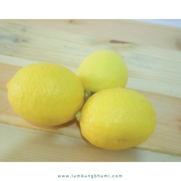 

PROMO LEMON IMPOR ( SAYUR - SAYURAN CURAH ) !!!!!