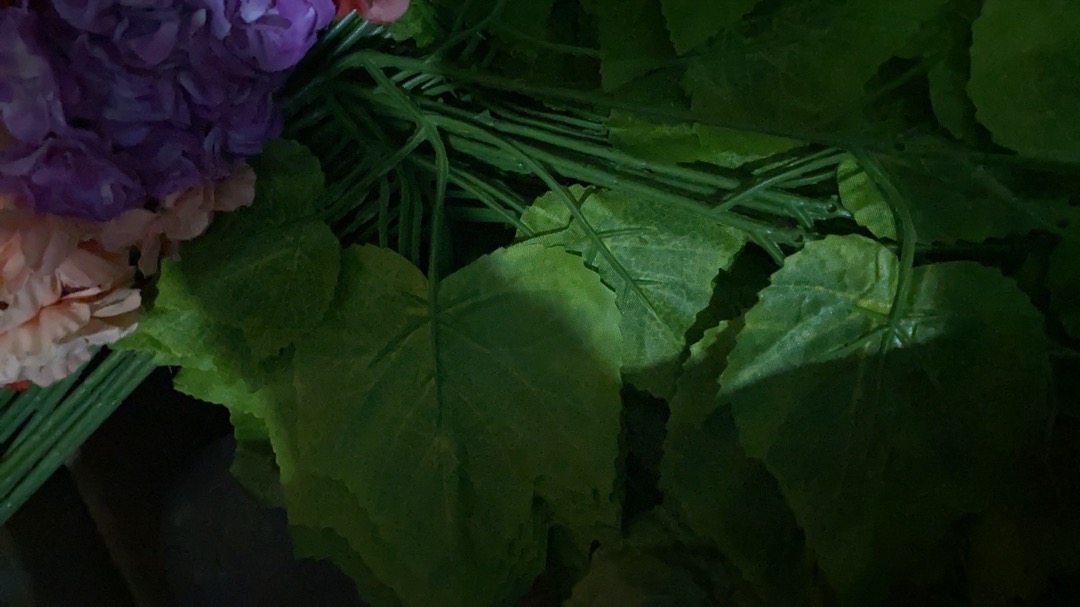 Daun Anggur Ijo - 506 (lusinan) Daun Plastik Daun Artificial Daunhias Daundekorasi Grosirdaunanggur