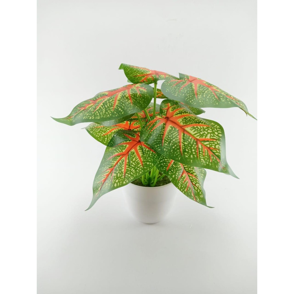 COD TANAMAN HIAS TANAMAN DAUN PLASTIK TANAMAN HIAS RUMAH BUNGA HIAS BUNGA PLASTIK BUNGA BP8829-HIJAU OREN