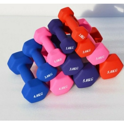 Dumbell Barbel Vinyl/ Barbel Cewek /Dumbell Yoga