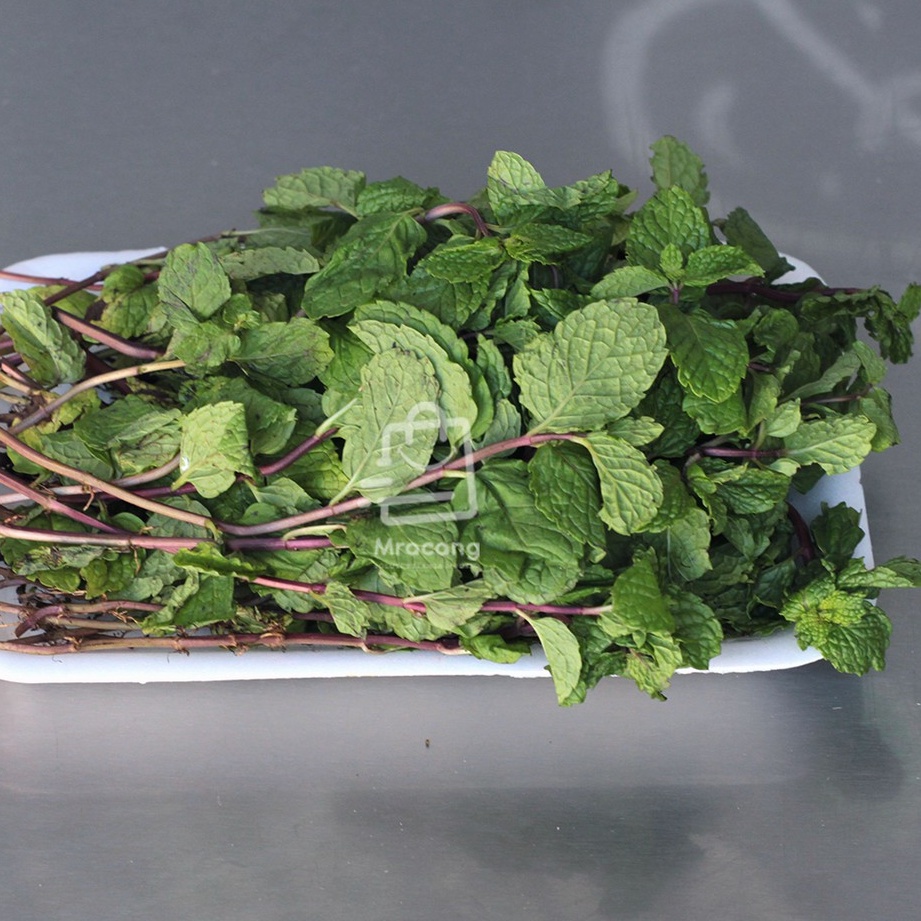 Daun Mint Fresh Pack - Berat 50gram / Sayur Segar