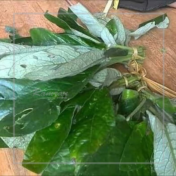 

DAUN REUNDE SEGAR 1000gr zs